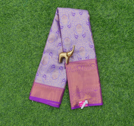 Fancy Pattu sarees